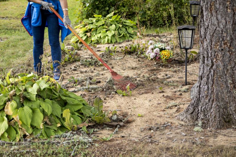 Contact About Leaf Cleaning