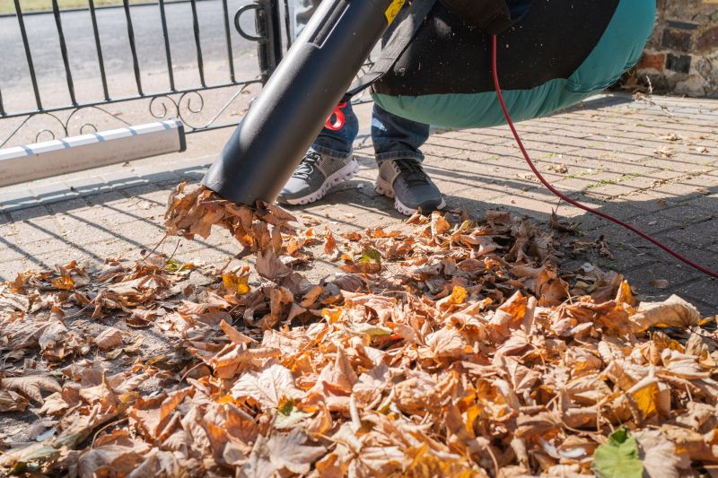 Leaf Cleaning
