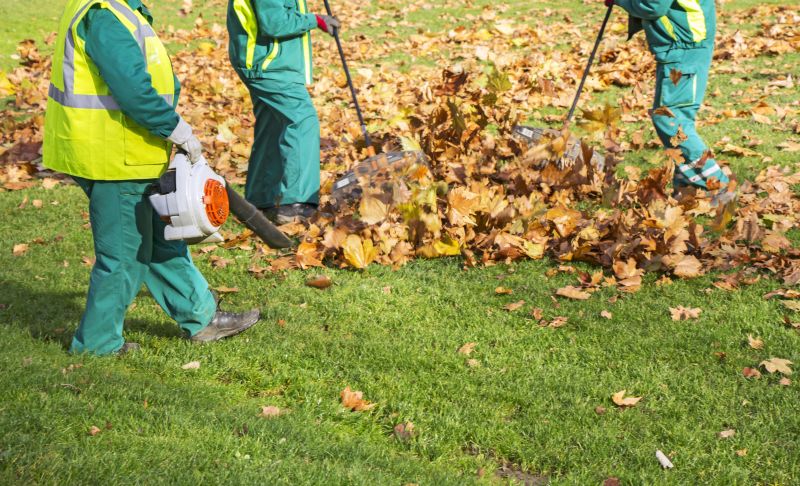 Leaf Cleaning