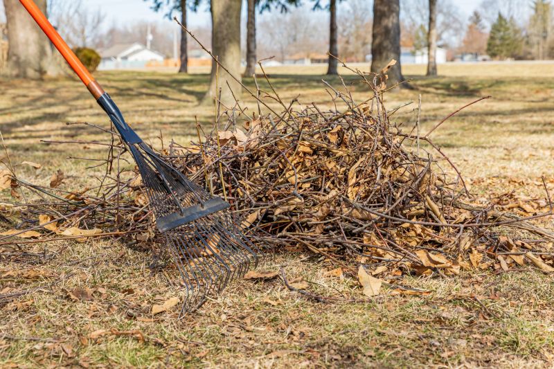 Leaf Cleaning